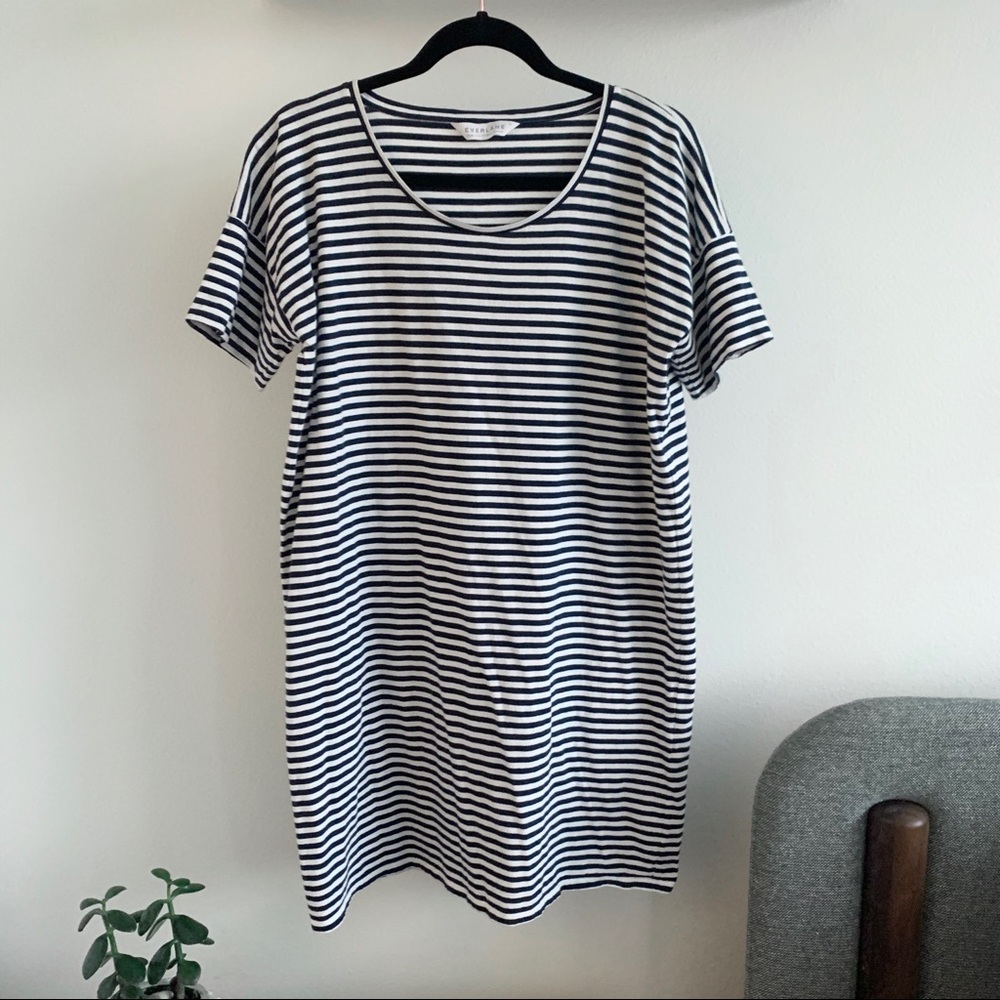 Everlane 100% Cotton Striped Dress